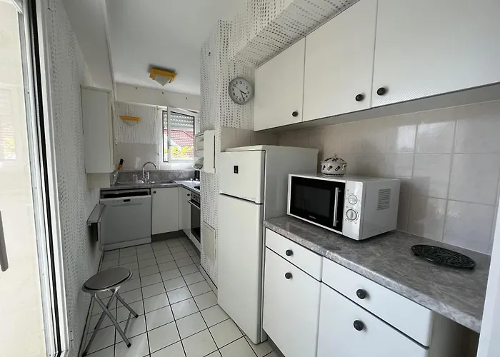 アパート T3 Centre Avec Terrasse, Parking Et Menage Inclus - Fr-1-374-206